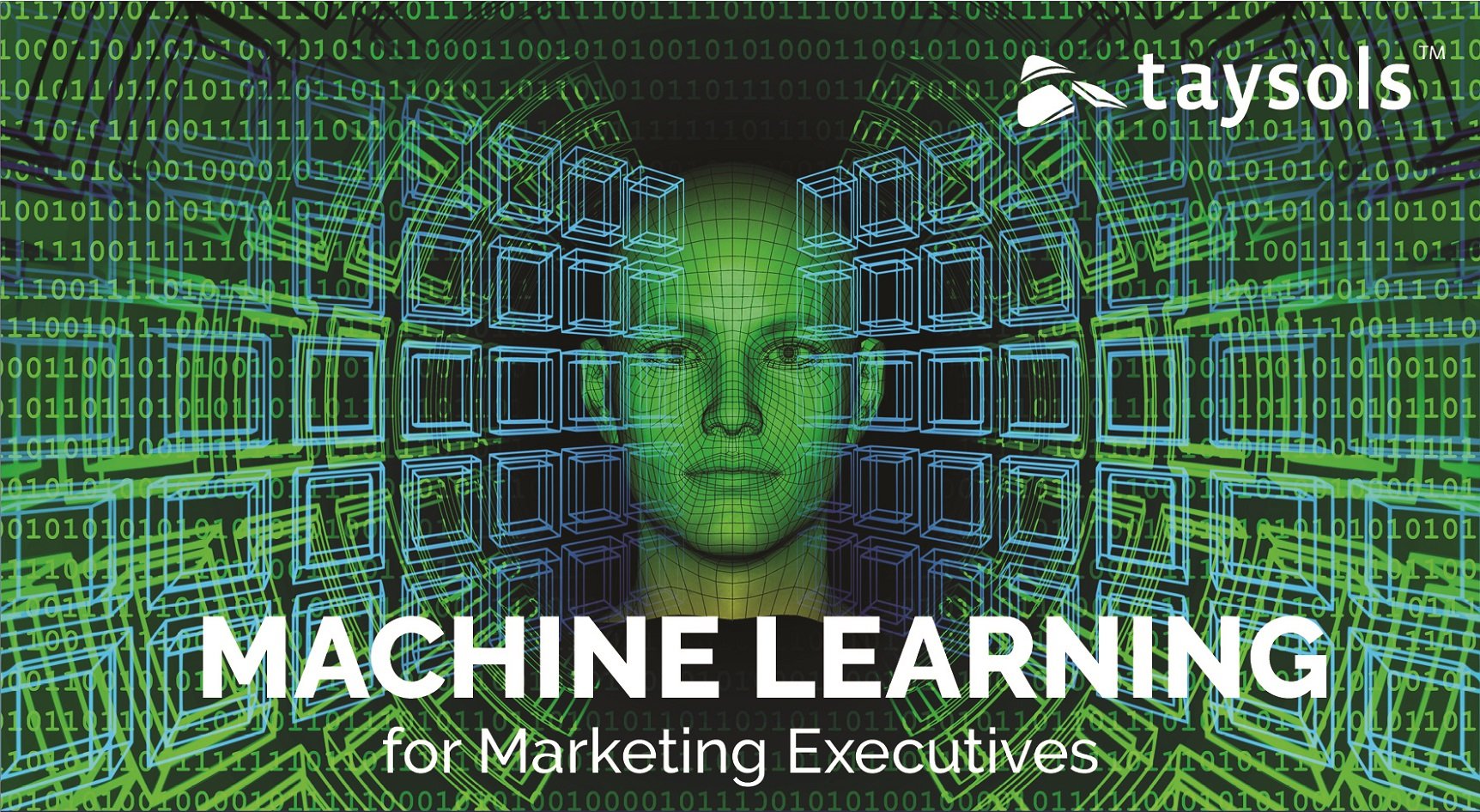 ML for Marketing Execs