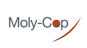 moly-cop_taysols-client_website